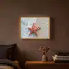Zeester - Strand - Zee Light Box met batterij (Wandlamp) middel -sfeer4