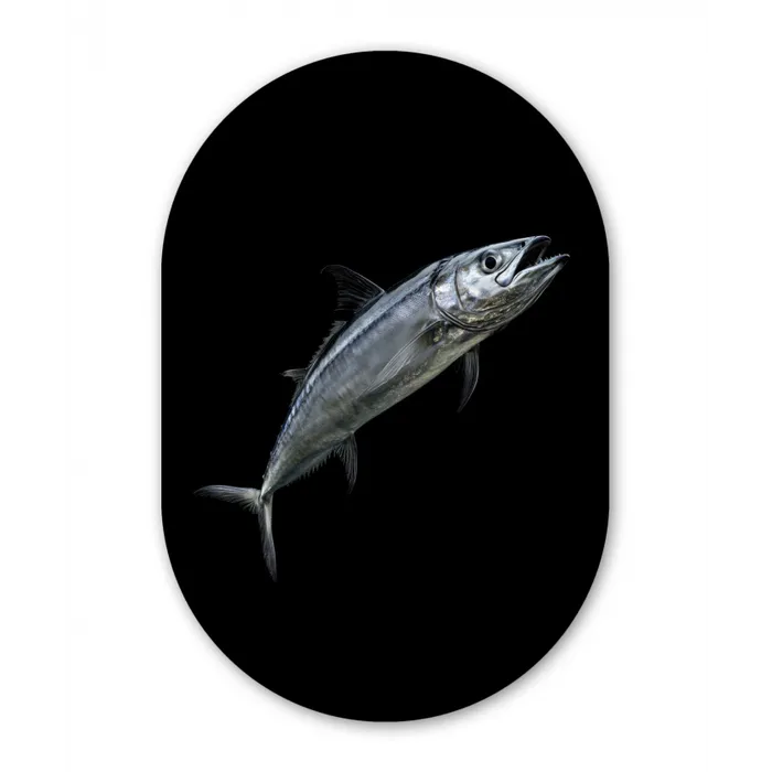 Makreel - Vis - Zwart Wandcirkel Ovaal Glas middel -3d