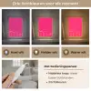 Minimalistisch - Roze - Dream big - Grafisch Light Box met kabel (Tafellamp) klein -USP_lichtkleurNL