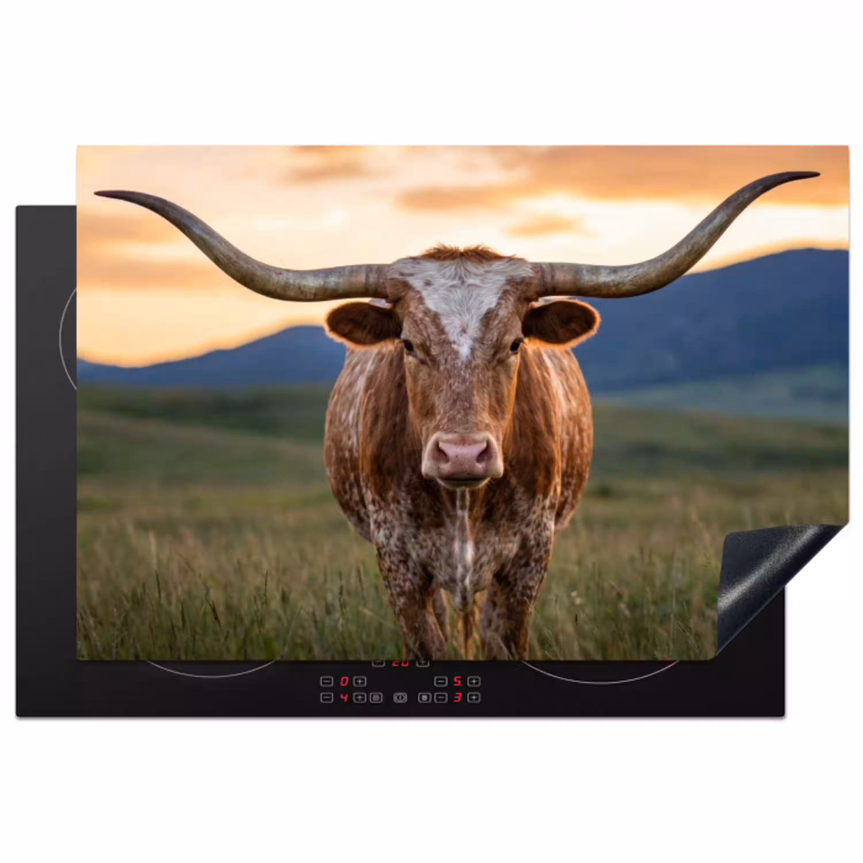 Longhorn - Landschap - Zonsondergang Inductie beschermer vinyl 3mm klein -3d