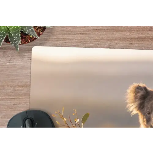 Koala - Bladeren - Ochtendlicht muismat rubber klein -closeup