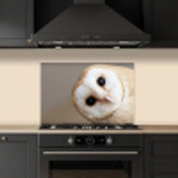 Uil - Bruin - Wit keuken achterwand spatscherm klein -sfeer1