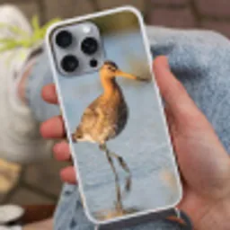 Vogel - Steltloper - Water - Natuur Hoesje iPhone 16 Pro Max met koord klein -sfeer3