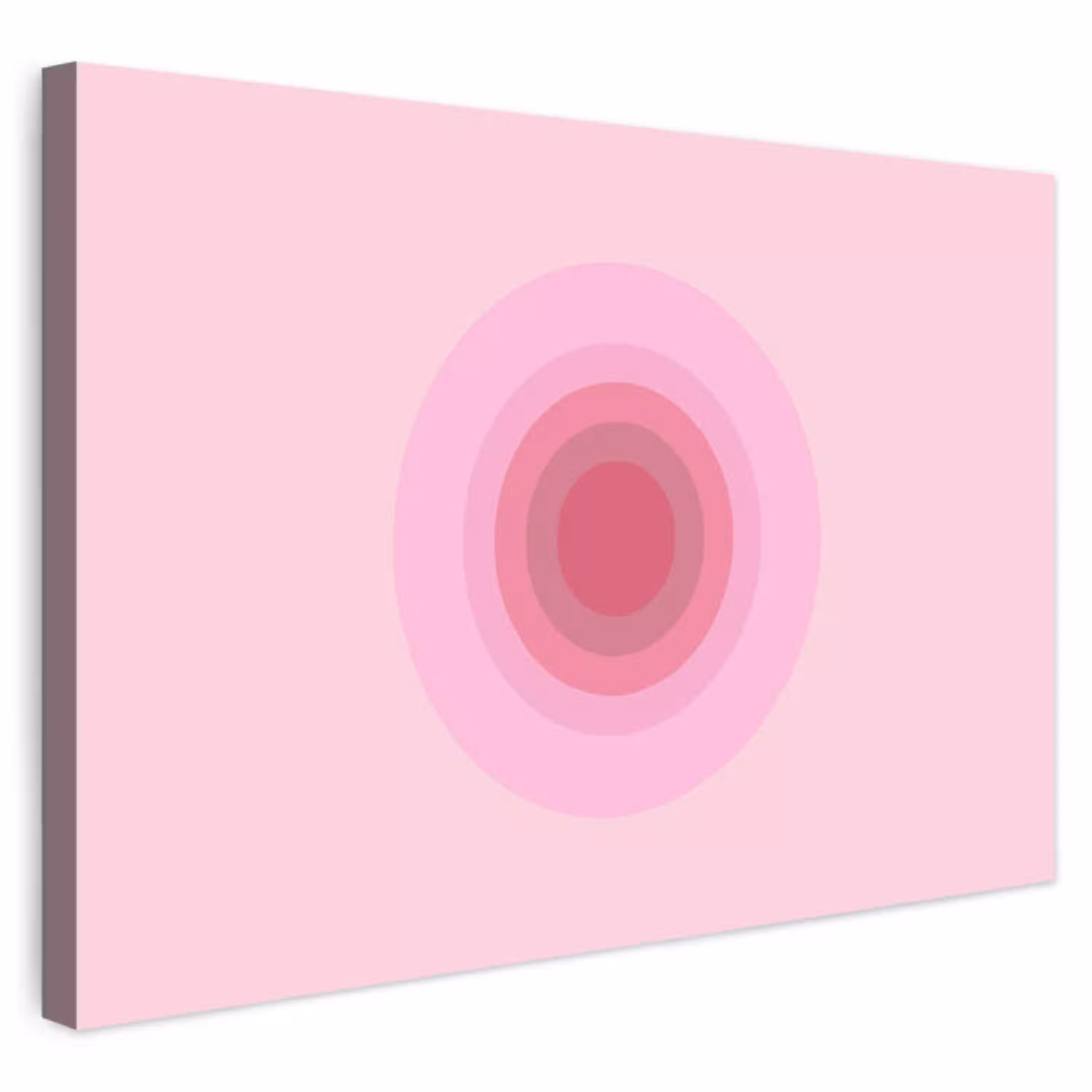 Patroon - Cirkels - Abstract - Roze - Modern Tuinposter op houten frame 2 cm dik klein -3d