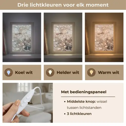 Amandelbloesem - Kunst - Van Gogh - Beige - Abstract Light Box met kabel (Tafellamp) klein -USP_lichtkleurNL