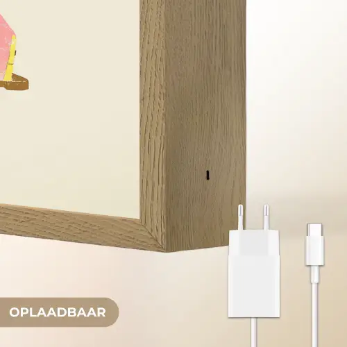 Ijskar - Retro - Softijsjes - Roze Light Box met batterij (Wandlamp) middel -USP_websiteoplaadbaarNL