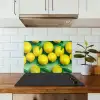 Citroenen - Geel - Groen - Druppels keuken achterwand spatscherm klein 900 -sfeer2