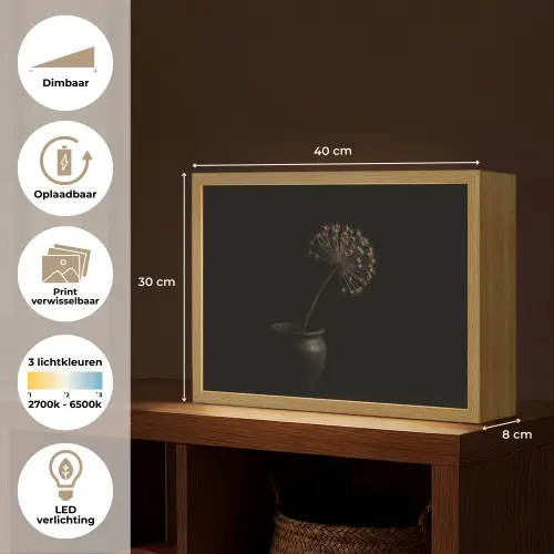 Bol - Gedroogd - Vaas - Zwart Light Box met batterij (Wandlamp) middel -USP_websiteoverzichtNL