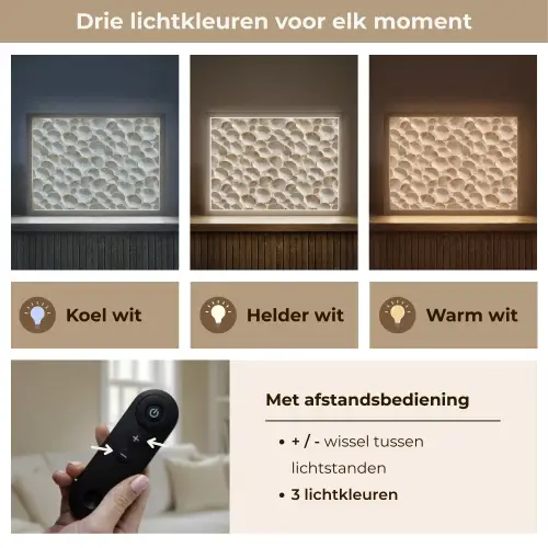 Schelpen - Waaiervorm - Wit Light Box met batterij (Wandlamp) middel 907 -USP_lichtkleurNL