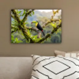 Toekan - Jungle - Natuur - Kleurrijk canvas 2cm klein -sfeer3