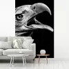 Adelaar - Portret - Roofvogels - Zwart - Wit - Vogel fotobehang vinyl groot -woonkamer