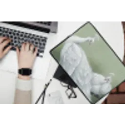Pauwen - Wit - Natuur - Groen laptophoes neopreen klein -bureau