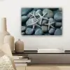 Zeesterren - Stenen - Wit canvas 2cm klein -sfeer6