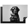 Hond - Zwart - Wijnglas - Zonnebril Inductie beschermer vinyl 3mm klein -3d