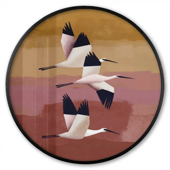 Ronde fotolijst - Vogels - Snavel - Abstract