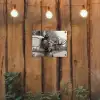 Eland - Auto - Gewei - Zwart - Wit tuinposter los doek klein -sfeer1