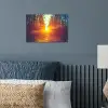 Zonsondergang - Bomen - Bos - Natuur poster papier klein -sfeer2