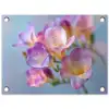 Bloemen - Paars - Overloop - Meeldraden tuinposter los doek klein -3d
