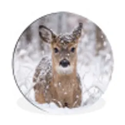 Hert - Sneeuw - Bos - Dieren - Vertederend Wandcirkel aluminium klein -3d