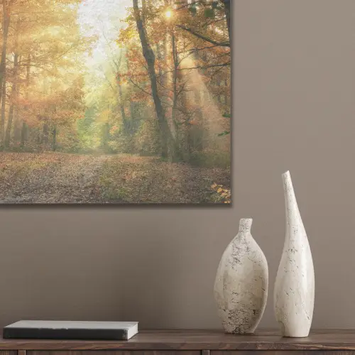 Bos - Herfst - Zon - Landschap - Natuur - Bomen - Bladeren PET vilt klein -sfeer6_closeup