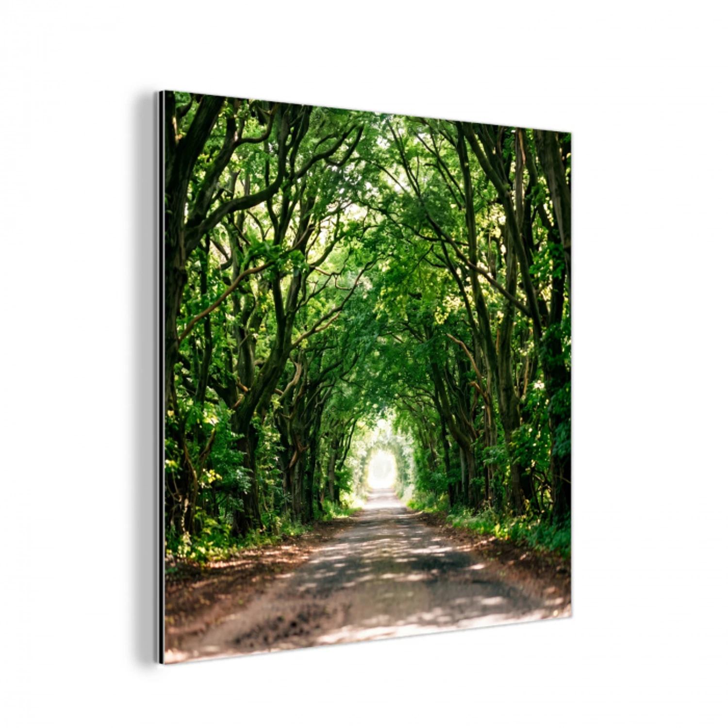 Weg - Bomen - Natuur - Groen aluminium wit klein -3d