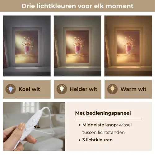 Framboos - Smoothie - Drinken - Roze Light Box met kabel (Tafellamp) klein -USP_lichtkleurNL