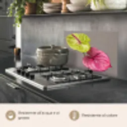Planten - Anthurium - Groen - Roze keuken achterwand spatscherm klein -usp_IT