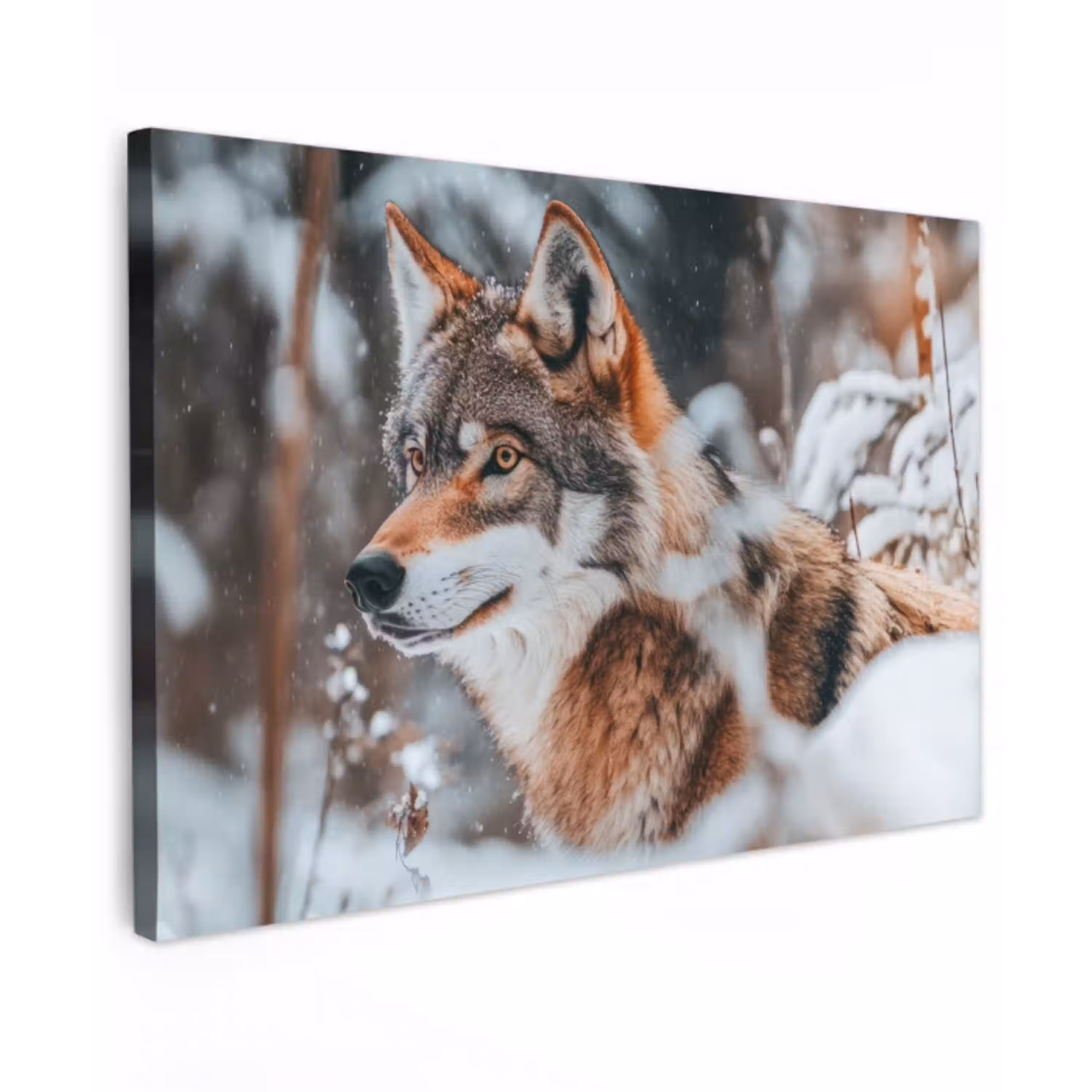 Wolf - Sneeuw - Winter - Dieren - Natuur - Sneeuw Tuinposter op houten frame 2 cm dik klein -3d