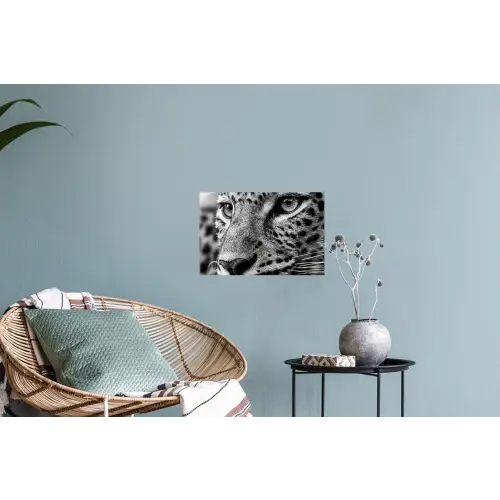 Luipaard - Zwart - Wit - Oog Muursticker klein -plant