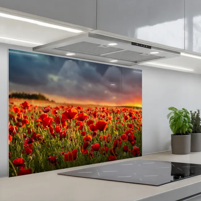 Spritzschutz Küche - Sonnenuntergang - Mohnblumen - Rot - Blumen - Feld - Natur