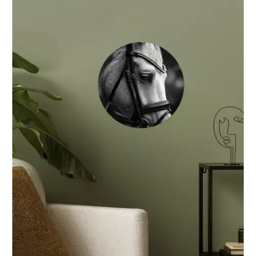 Paard - Schimmel - Portret Wandcirkel behangsticker klein -sfeer2