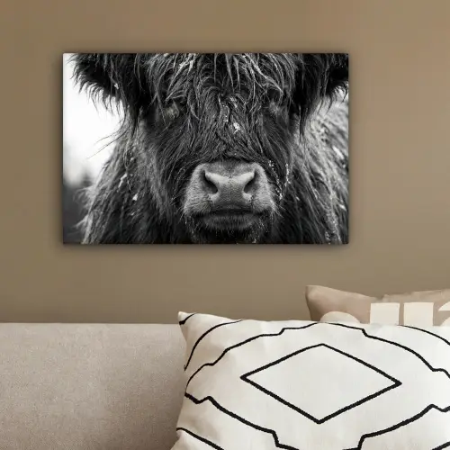 Schotse hooglander - Zwart - Wit - Sneeuwvlokken canvas 2cm klein -sfeer3