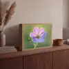 Bloem - Close up - Paars Light Box met batterij (Wandlamp) middel -sfeer2