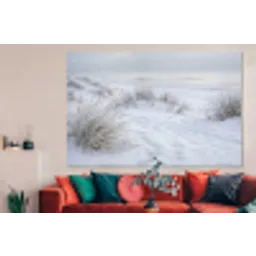 Duinen - Sneeuw - Strand - Winter - Serene forex 5mm xxl -woonkamer