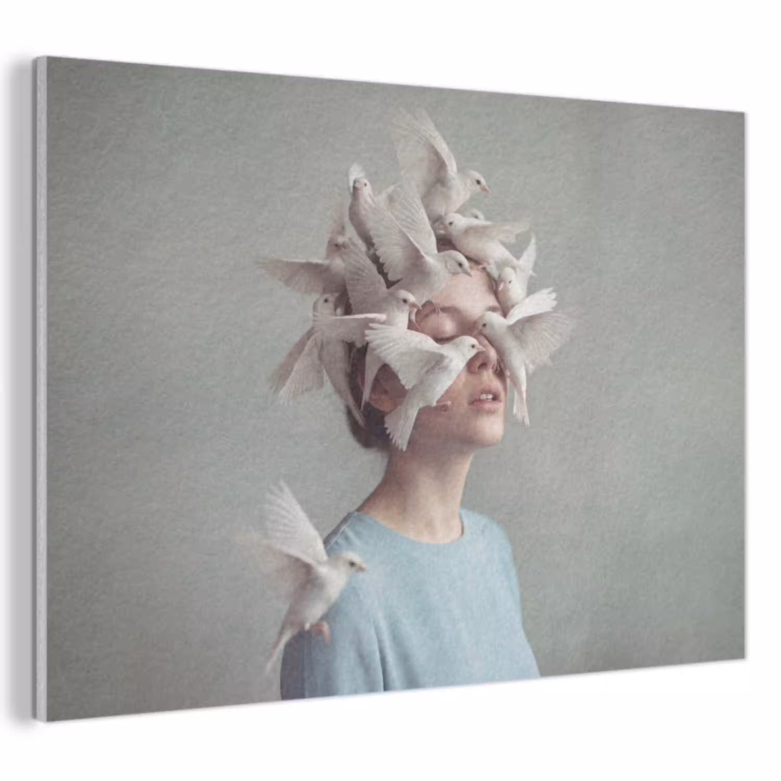 Vrouw - Vogels - Abstract - Modern - Wit PET vilt klein -3d