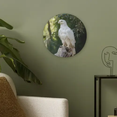 Arend - Hout - Wit - Planten Akoestische PET Vilt - Rond klein -sfeer2