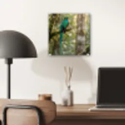 Quetzal - Jungle - Natuur - Groen plexiglas 5mm klein -sfeer6