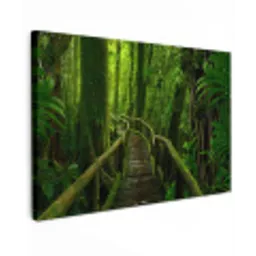 Jungle - Brug - Mos - Natuur - Tropisch canvas 2cm klein -z3d