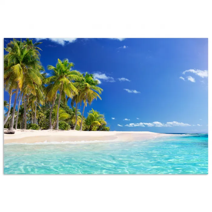 Strand - Zee - Palmboom - Zon - Zomer poster papier klein -3d
