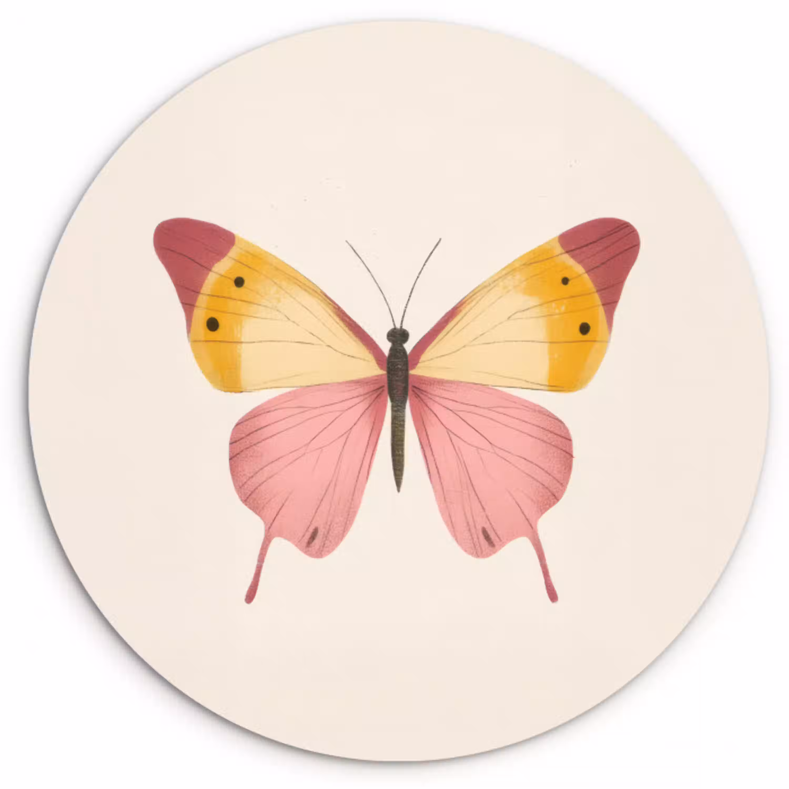Vlinder - Illustratie - Roze Wandcirkel plexiglas klein -3d