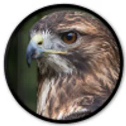 Buizerd - Roofvogel - Natuur - Bruin Fotolijst rond zonder passe partout klein -3d