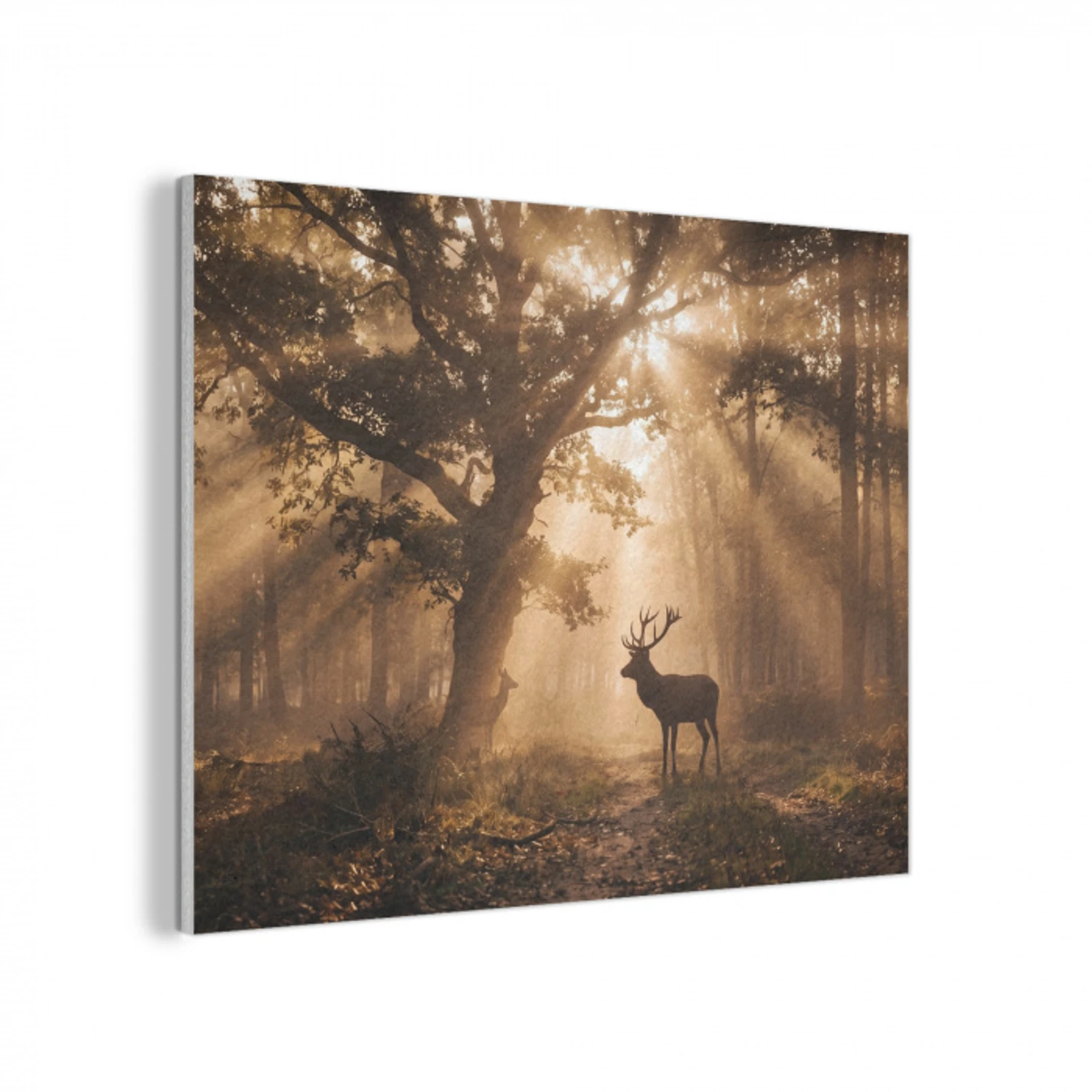 Hert - Bos - Mistig - Natuur - Goud PET vilt klein -3d
