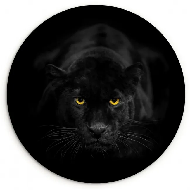 Panter - Dieren - Zwart - Ogen Wandcirkel kunststof plaat 5mm dik klein -3d