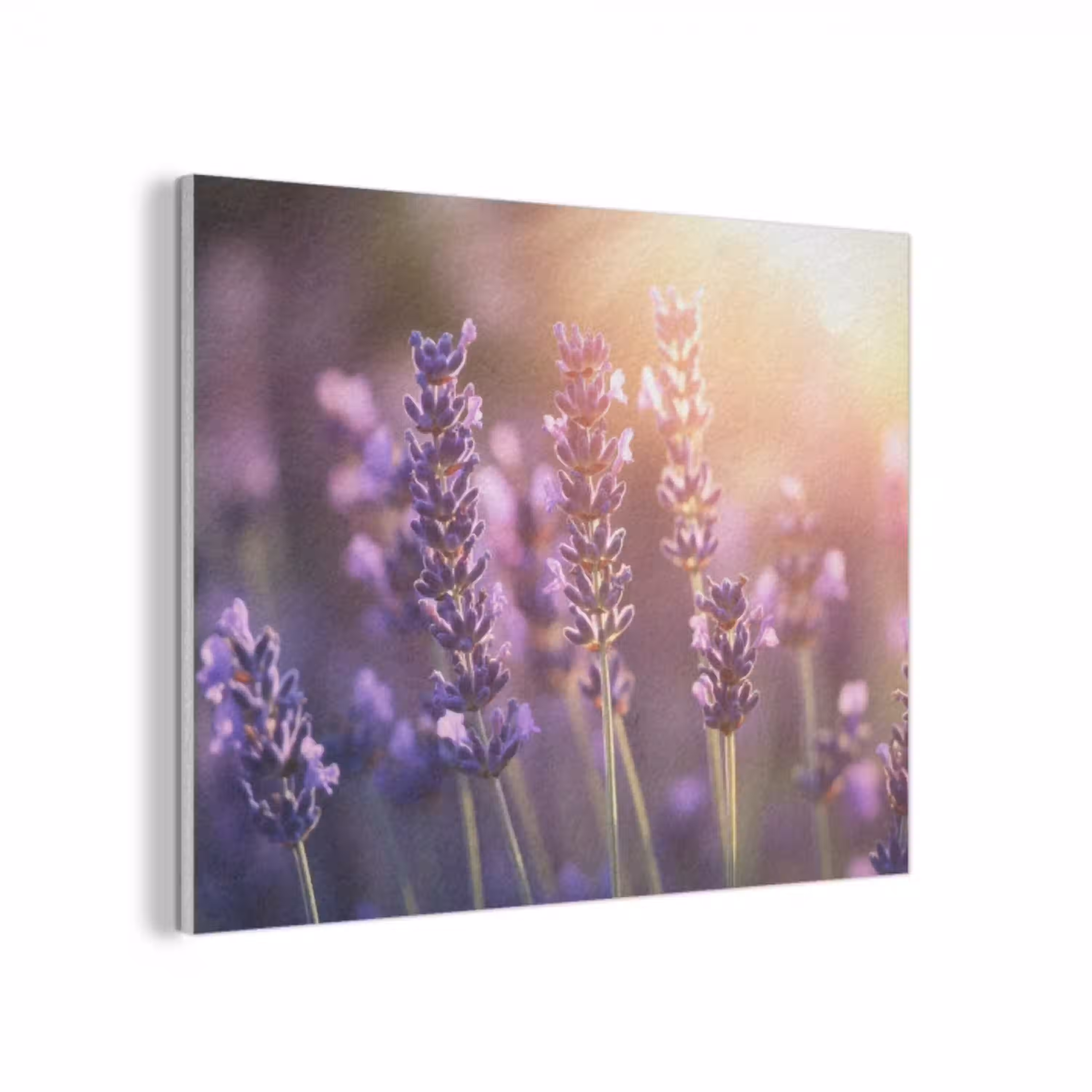Lavendelbloemen - Paars - Zonlicht PET vilt klein -3d