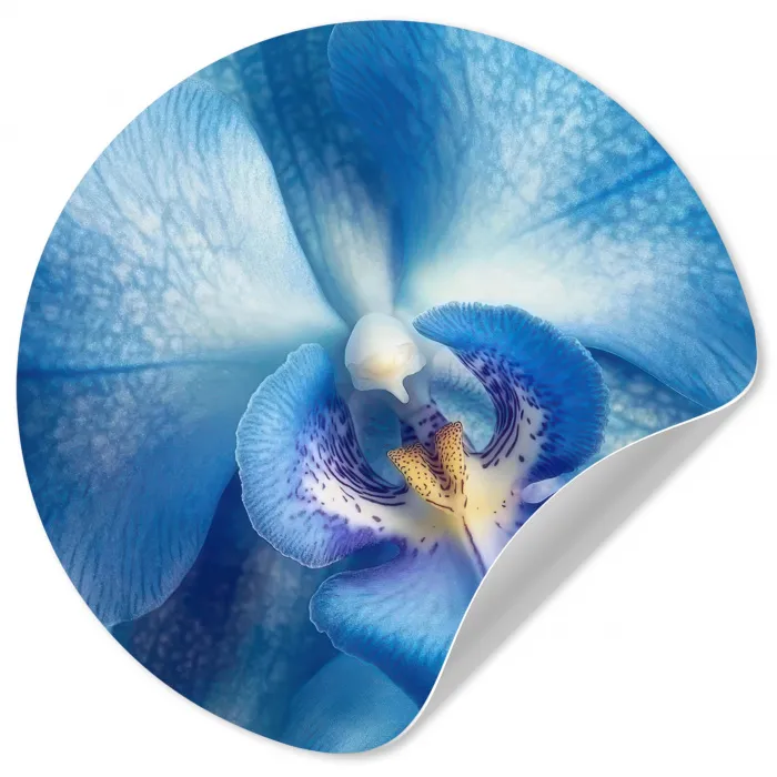 Blauw - Orchidee - Elegeant Wandcirkel behangsticker klein -3d