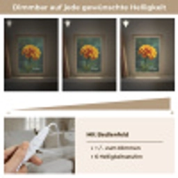 Bloemblaadjes - Afrikaan - Oranje - Wazig Light Box met kabel (Tafellamp) klein -USP_dimbaarDE