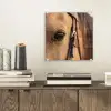 Paard - Oog - Bruin plexiglas 5mm klein -sfeer1