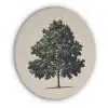 Eikenboom - Schaduw - Egaal Akoestische PET Vilt - Rond klein -3d