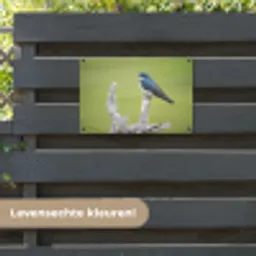 Vogel - Tak - Groen tuinposter los doek klein -sfeer3
