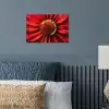 Close up - Bloem - Quote - Rood poster papier klein -sfeer2